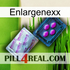 Enlargenexx 37